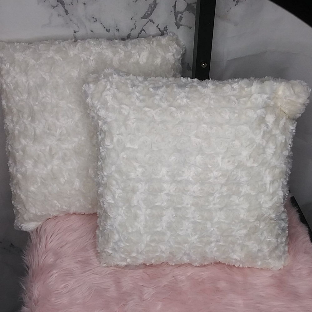 2 Accent throw pillow